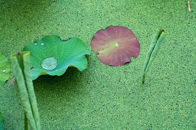 网站你董我的我意思：独特互动，畅所欲言的资讯平台-1