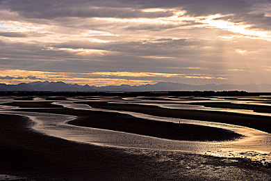 爱情岛  VIP永久入口：都市休闲新选择，爱情岛VIP永久入口开放-1
