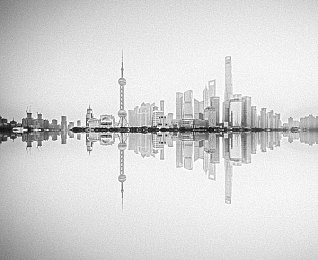 天天舔天天爱：短视频爆红背后的秘密：趣味与正能量的奇妙结合-2
