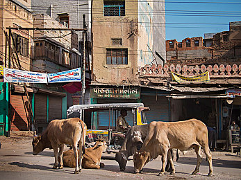 三菜一汤八爪鱼五个开关是啥意思：科技生活新体验，智能家居五大模块大揭秘-1