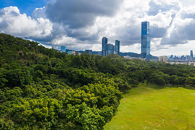 地味变2未增减接档：异世界冒险升级，地味变续作来袭-1