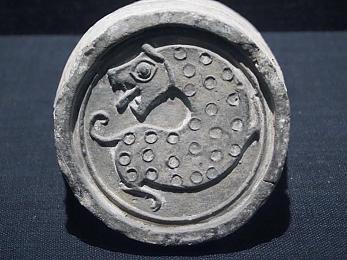 小学生叫的坤坤是什么,“小粉丝狂热追星，揭秘“小学生叫的坤坤”之谜”-2