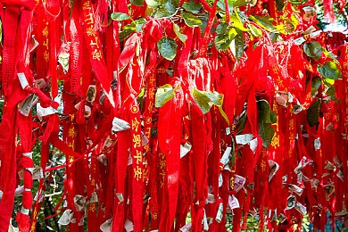 JulieAnne大战黑人：网络红人JulieAnne引发种族歧视激辩-5