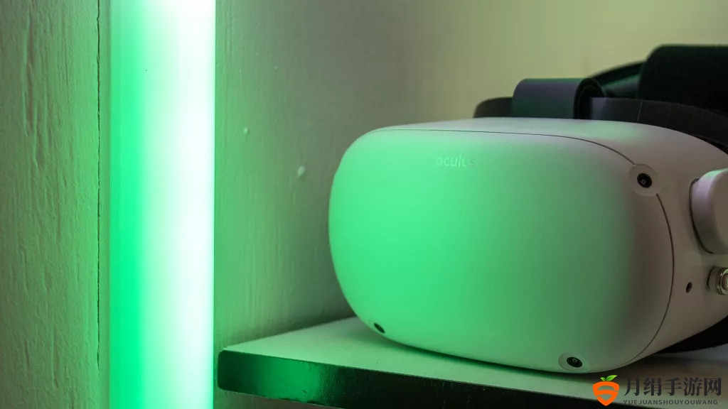 2021年VR市场独领风骚，Quest 2销量占比近八成