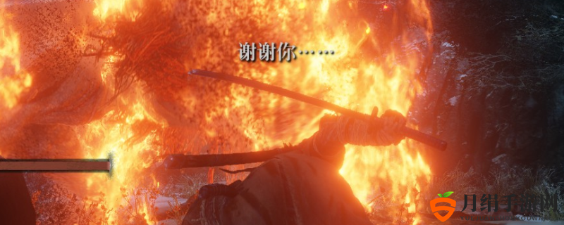 只狼战斗技巧揭秘：掌握一心之战法