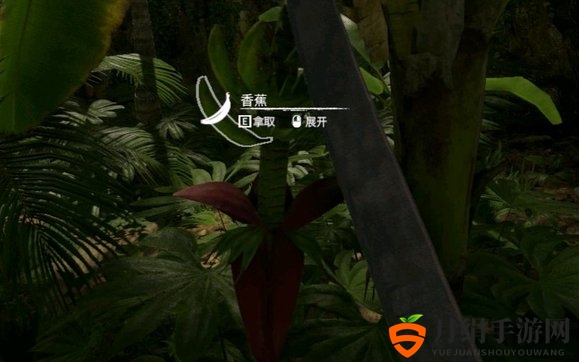 《绿色地狱》全植物信息分享