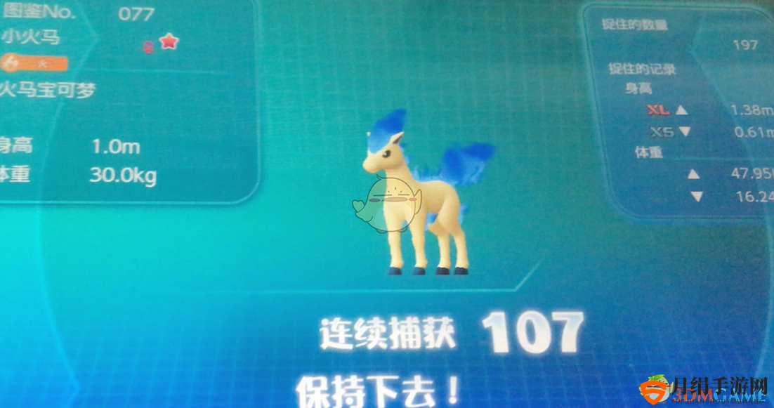 《精灵宝可梦Let's Go！皮卡丘·伊布》闪光小火马捕捉心得分享