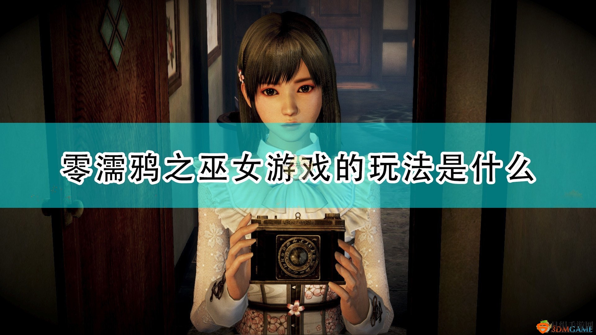 《零：濡鸦之巫女》游戏简单玩法介绍